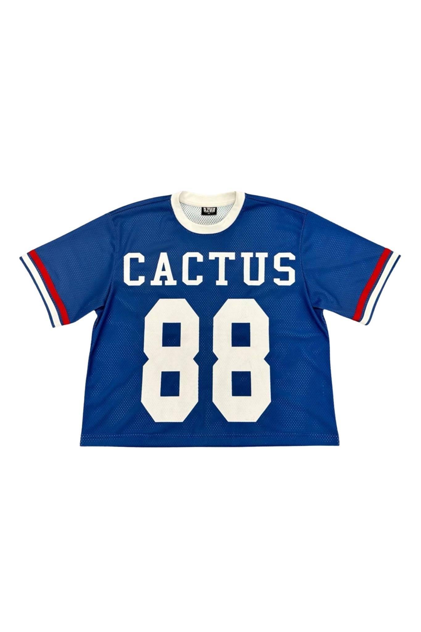 CACTUS VALLEY | Cactus America Jersey