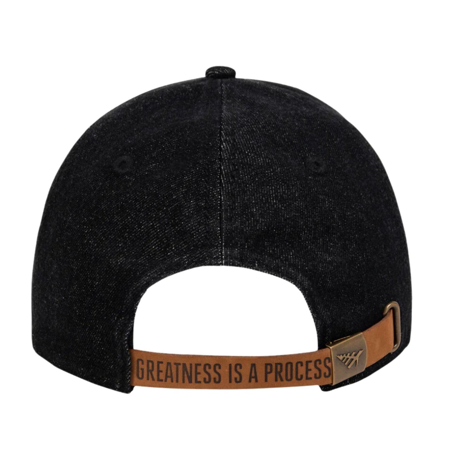 PAPER PLANES PPL DAD HAT