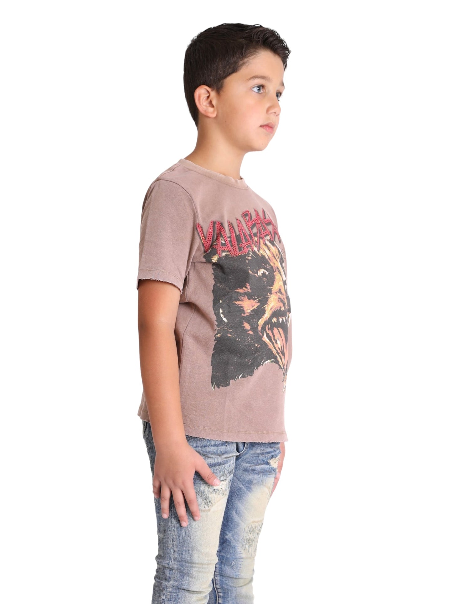VPLAY TEE "BARKING LOUD" VINTAGE MOCA