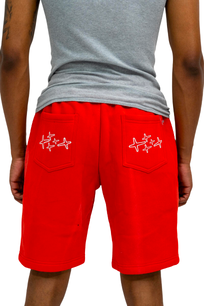 RETROVERT WASHED FLARE SHORT