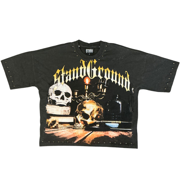 STRAY | ST1397 Tee (Wide & Crop)