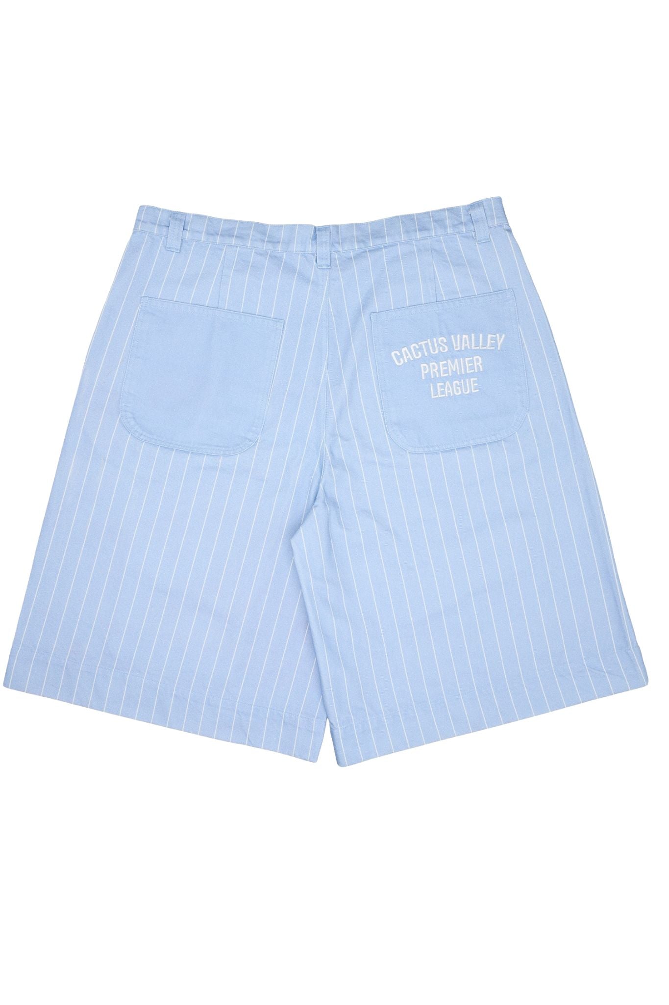 CACTUS | Pleated Cargo Pinstripe Shorts